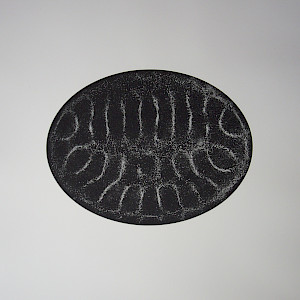 Chladni Figure, 2008
Etching, 78 x 61 cm
Edition of three, printed in Atelier de gravure AJAC, Moutier on Zerkall-Buetten (250 g/cm²)
Foto Barbara Amstutz